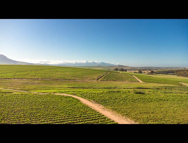 94HA FARM FOR SALE IN STELLENBOSCH FARMS